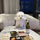 일출수산 | 주문진수산시장 대게 맛집 일출횟집 대게회세트 포장 후기 강릉 포장 맛집 추천