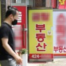 새로공인중개사사무소 이미지