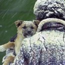 행복하 개 이미지