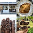 지에스(GS)25 이편한시민공원점 | 전포동에서, 빵 여정 | 퍼프(두바이 크로와상 ⋰˚✩ )_희와제과(밤팥빵)_밀로프(초코바게트)