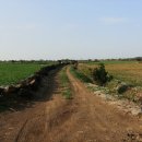 상모리-17 이미지