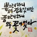 아라뜰2호점 이미지