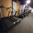 바디리셋 이미지