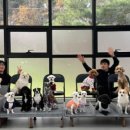 안녕 똑독아 트레이닝센터 안서점 이미지