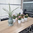 더세인트요양병원 이미지