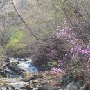 사월농장 이미지