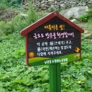 상록수식당 이미지
