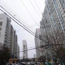 삼산 이미지