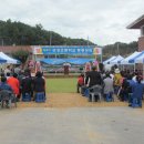 보성초등학교 이미지