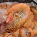 벌떡새우 이미지