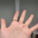 도현민박 | 2023 스파르탄레이스 in 삼척 후기 &amp; 숙소 추천