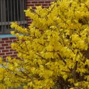 청암식당 이미지