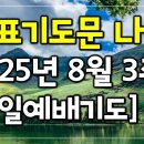 8월 3주 대표기도문 이미지