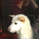 바람도리 이미지