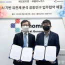 프로 카젠 이미지