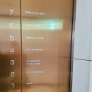 KNOLLO(놀로) | 반려동물 문화공간 '청담 놀로(knollo)'카페 후기_ft.설채현동물병원