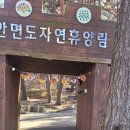 명품 청년 운동화 | 태안 안면도 가볼만한곳: 안면도 자연휴양림 무장애 데크길 산책 후기