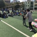 사상초등학교병설유치원 이미지