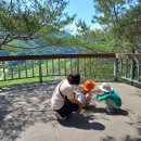 오음초병설유치원 이미지