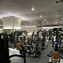 운동할래피트니스 이미지