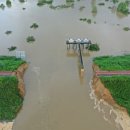 낙동강제방(2) 이미지