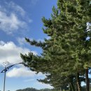 고궁회관 이미지