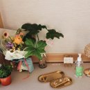 다온주열연구소 이미지