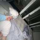 테라스애견미용카페 | 강아지 맡기기 좋은 옥길동애견호텔 멍실댕실 애견미용 호텔 카페 후기