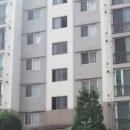 구갈로1 이미지