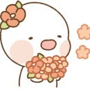 씨더라이트 이미지