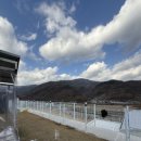 포메리카노 이미지