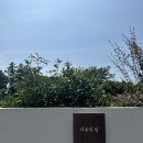 서유의섬 이미지