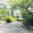 선양시니어빌리지 네이버블로그