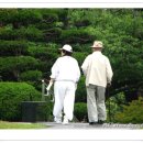 인생은 시처럼 음악처럼 이미지