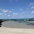 명진카 센터 이미지