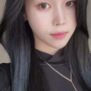 모리헤이즈