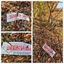 낙동정맥 시티재~아화고개까지! 관산은 너무 빡쎄다