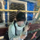 CU울진죽변후정점 | 울진 죽변해안스카이레일 내돈내산 후기