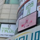 티플러스테니스