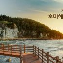 호미산업 이미지