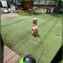 힐포인트 이미지