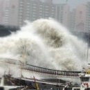 나비약국 이미지