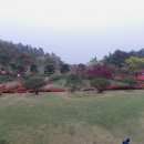 태백초등학교 이미지