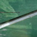 갯벌이야기 이미지