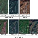 편백숲 투어코리아