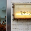 벚꽃로343