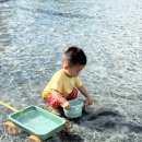 푸른꿈어린이집 | 서울 아이와 가볼 만한 곳: 북서울꿈의숲 물놀이 여름 후기