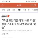 두나펫 코리아 네이버블로그