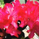 바다정원 이미지