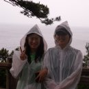 올레파크 이미지